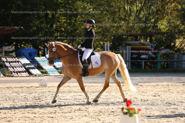 HG9A8123 | laurarinckfotografie - Realisiert mit Pictrs.com