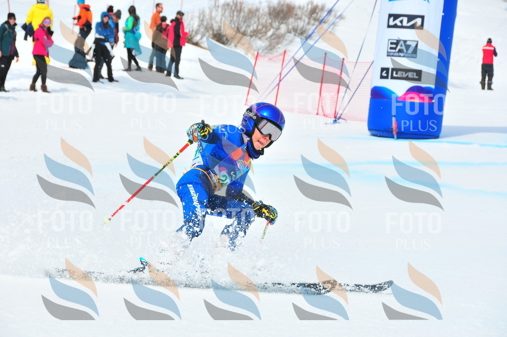 DSC_2232 | holidayphoto