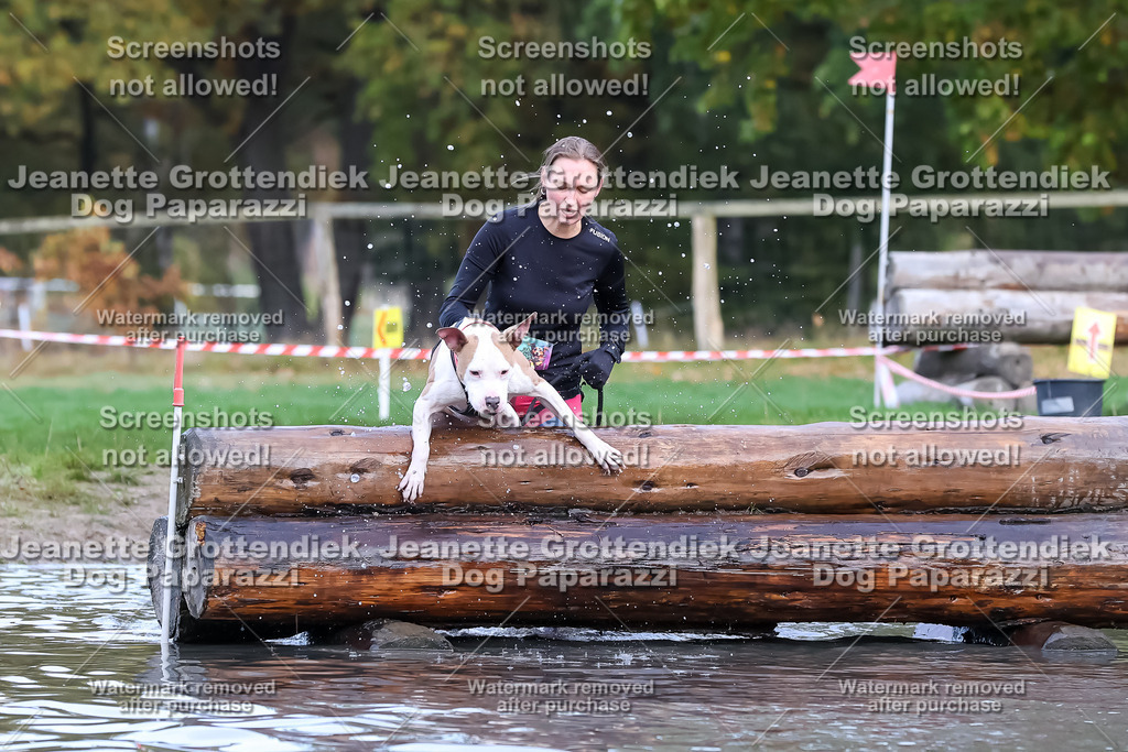 Dog Paparazzi - Strongdog 10-25-6719 | Dog Paparazzi Jeanette Grottendiek Fotografie & Videografie - Realisiert mit Pictrs.com