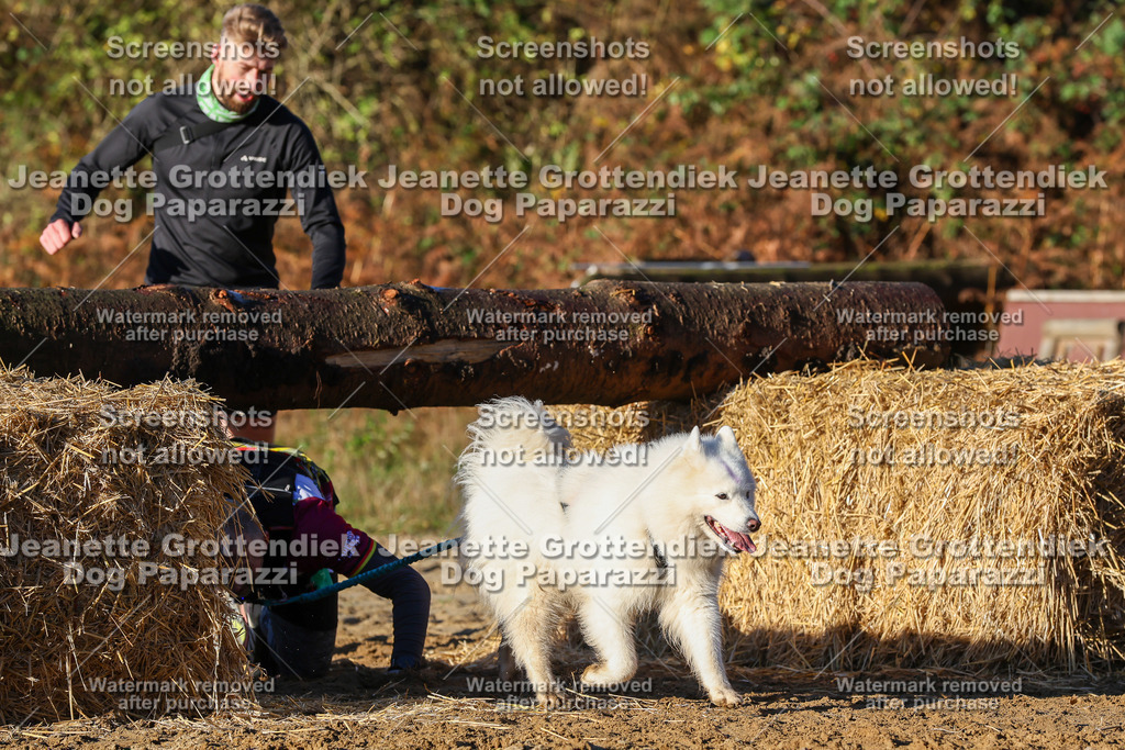 Dog Paparazzi - Strongdog 10-25-1155 | Dog Paparazzi Jeanette Grottendiek Fotografie & Videografie - Realisiert mit Pictrs.com