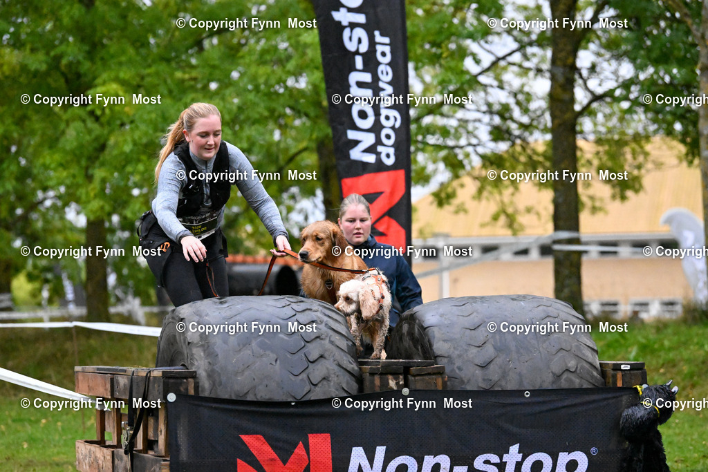 DSC_2291 | Hallo und herzlich Willkommen auf meiner Shop-Seite Fynn Most.

Ich wünsche Dir viel Spaß beim stöbern durch die Bilder, wenn Du Fragen hast oder Bilder vermisst, kannst du mir gerne eine Nachricht schreiben. - Realisiert mit Pictrs.com