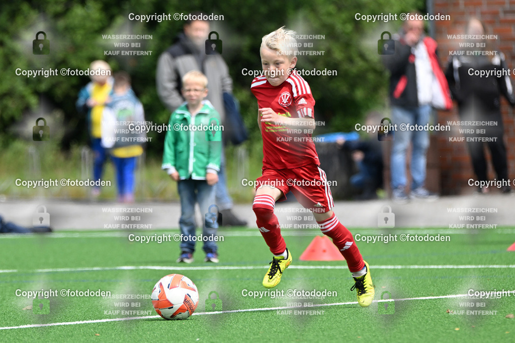 DSC_7329 | STV Wilhelmshaven (grün) / TV Bunde (rot)