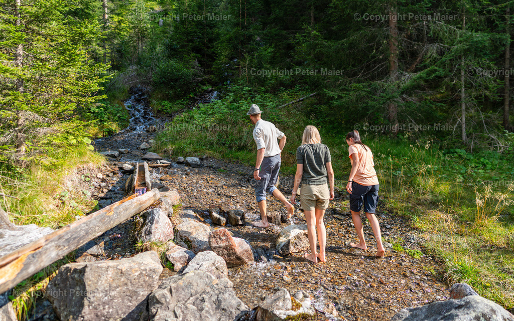 Wasserschule_Haus_des_Wassers_Erlebnisraum_Wald_23_Peter_Maier-514 | piet_flosse