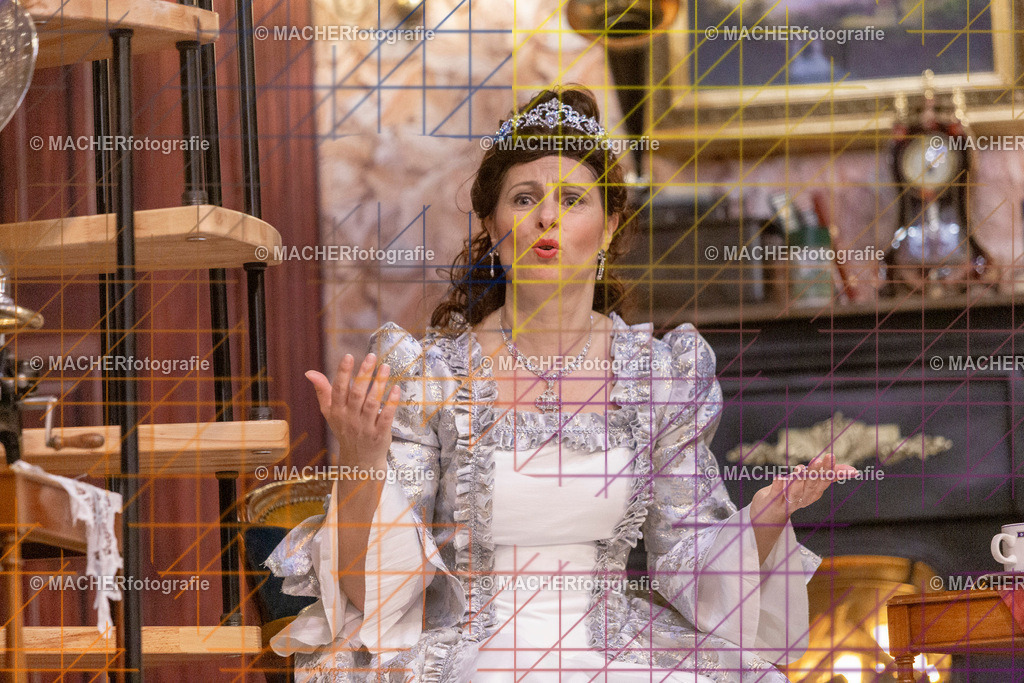 337_MFL-2025 | Portraitbilder von Regisseur; Darsteller; Techniker; Maske; Kostüme; Chor; Musiker; Bilderserie der Generalprobe und der Premierenvorstellung, Szenenbilder; Ausdrucksstudien; Bühnenüberblick; Bühnenkulissen; Pressefotos inkl. Redaktionsfoto Darstellergruppe.