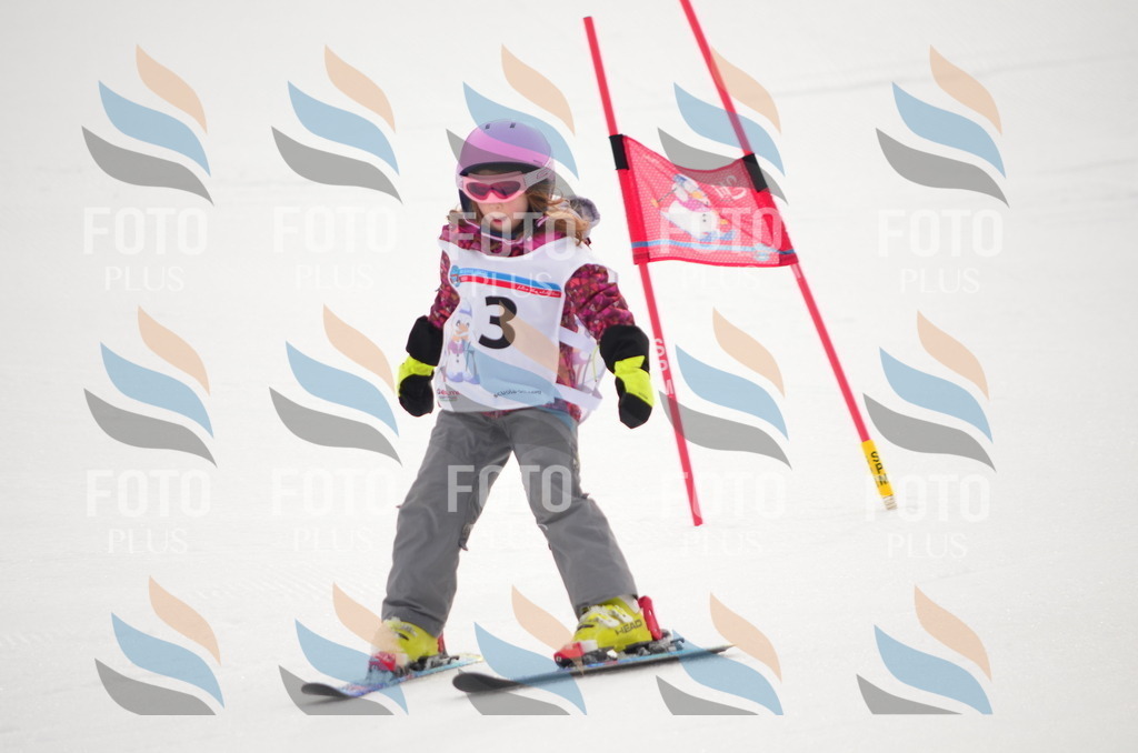 B9115 | holidayphoto