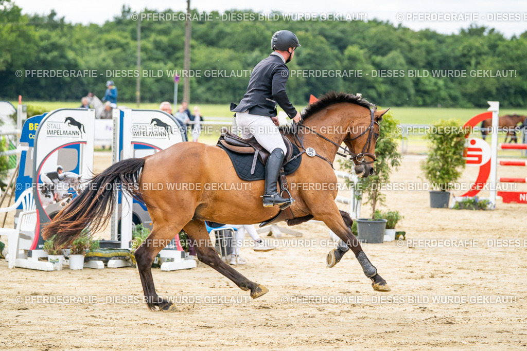 DSC06116 | Pferdegrafie