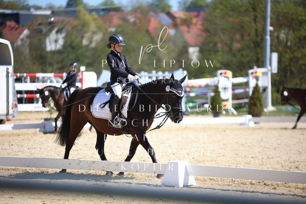 IMGT1319 | pl-fotografie