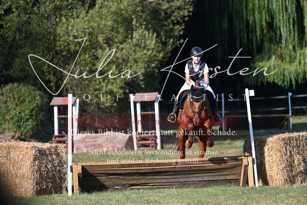 DSC_9050 | Pferde- und Turnierfotografie in Westsachsen. Pferdeportraits, Auftragszeichnungen und intuitive Kunst.