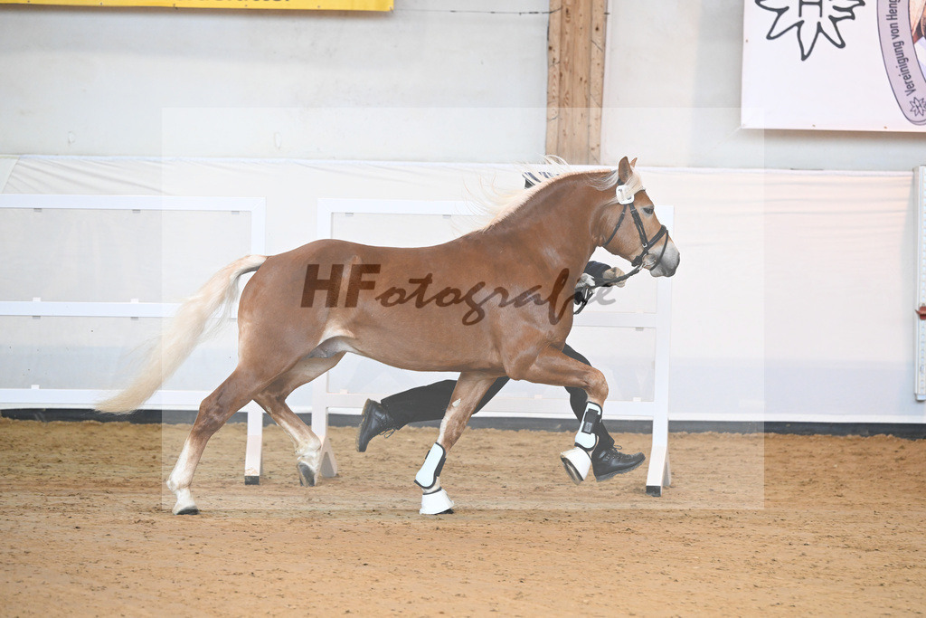 Kat-Nr. 16 v. Sturmdrang_HLG Schwaiganger_2230221 | hf-fotografie - Realisiert mit Pictrs.com