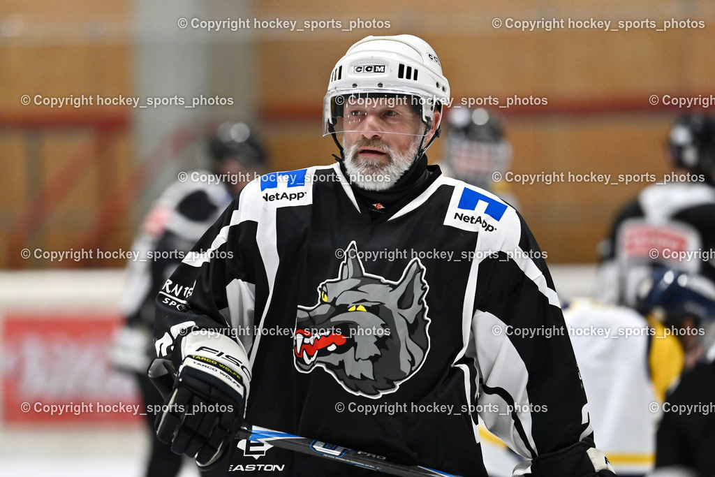 EC Tigers Paternion vs. Tarco Wölfe II | #23 Krainer-Bidovec Michael Tarco Wölfe II, EC Tigers Paternion vs. Tarco Wölfe II, EC Tigers Paternion vs. Tarco Wölfe II am 19.12.2024 in Spittal an der Drau (Eissportzentrum Spittal), Austria, (Photo by Bernd Stefan)