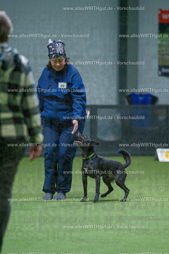 7R501233 | Professionelle Tierfotografie in Mönchengladbach von Daniel Wirth (allesWIRTHgut). Liebevolle & natürliche Bilder von Hunden & Katzen für unvergessliche Erinnerungen.