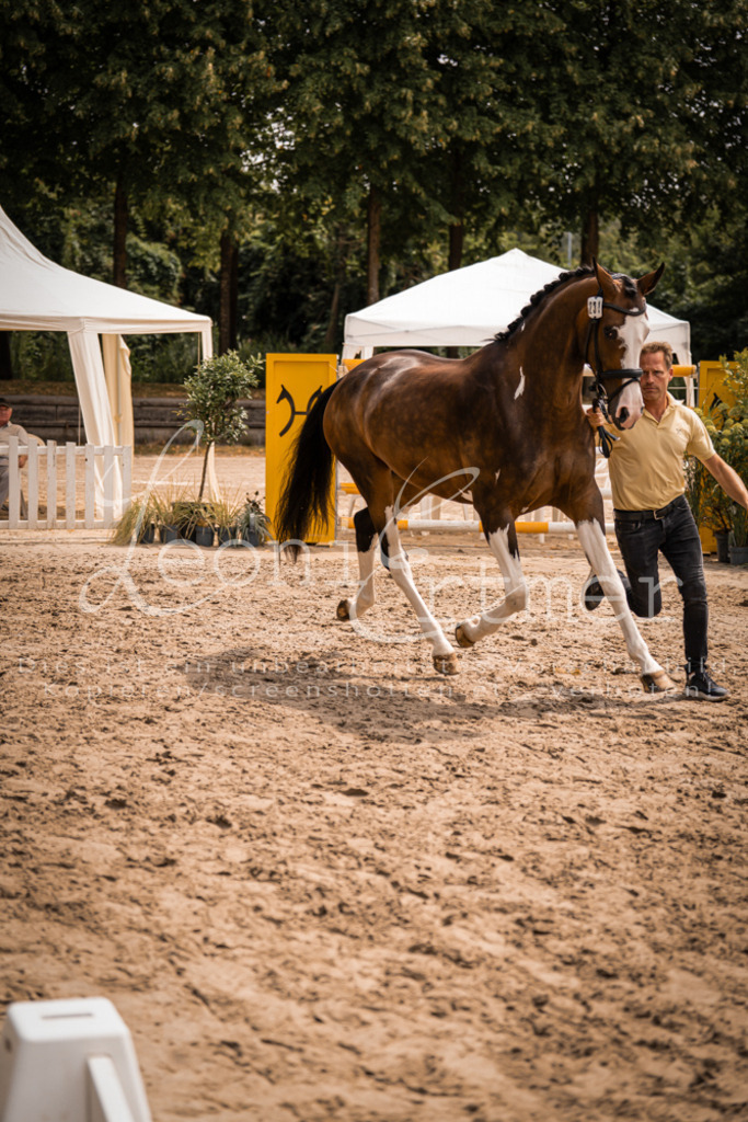 3.Fr00225 | Leoni Ertmer Photography - Realisiert mit Pictrs.com