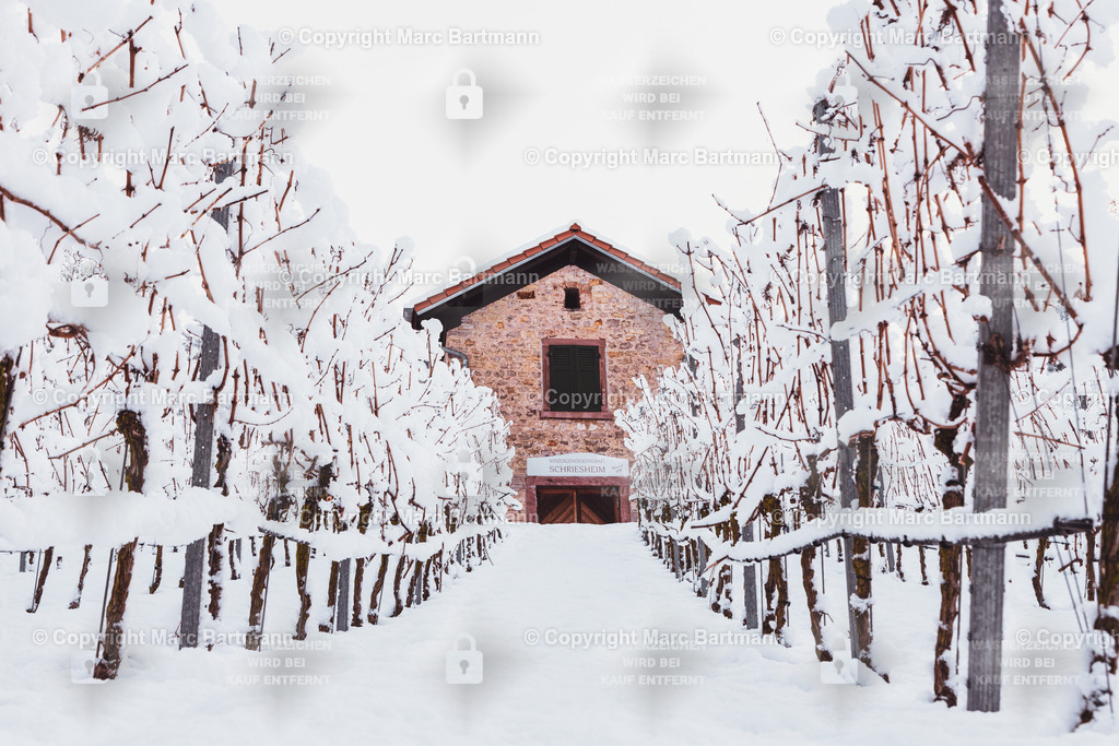 EOSR8005-Verbessert-SR | Marc Bartmann - Fotografie Schriesheim - Realisiert mit Pictrs.com