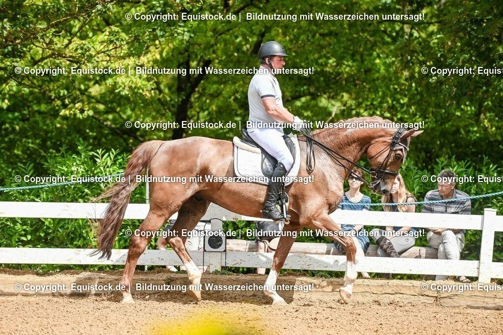 20230716_01_Dressurprüfung Kl.M_0091 | equistock