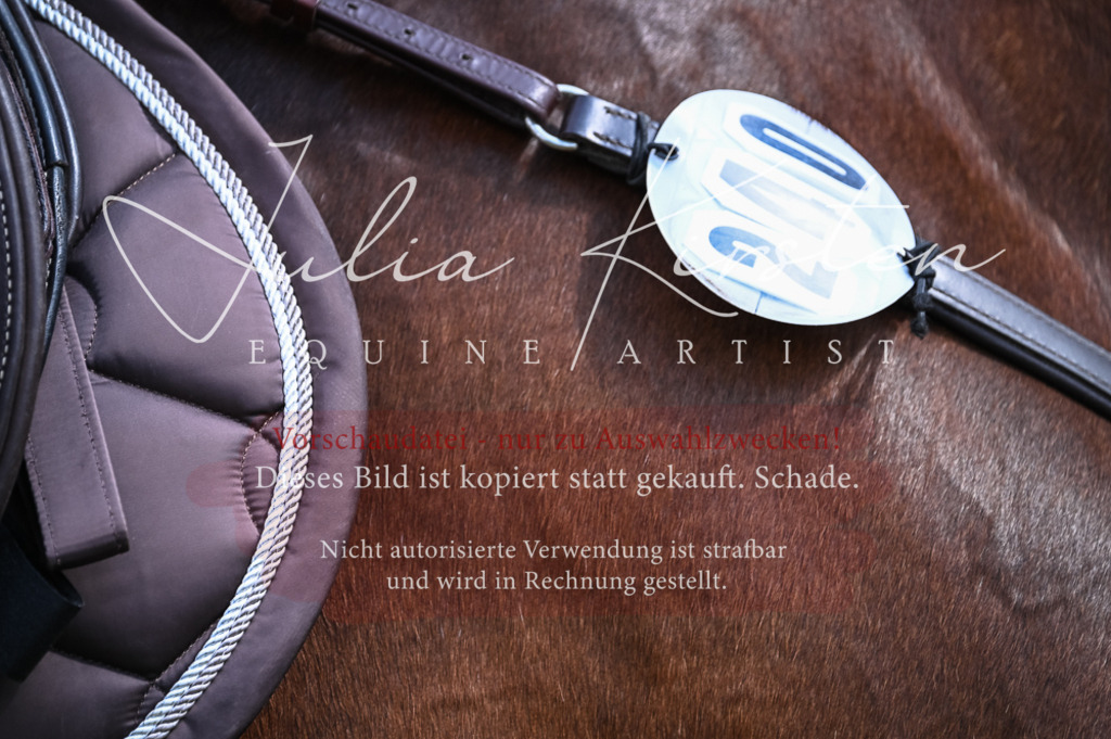 DSC_8488 | Pferde- und Turnierfotografie in Westsachsen. Pferdeportraits, Auftragszeichnungen und intuitive Kunst.