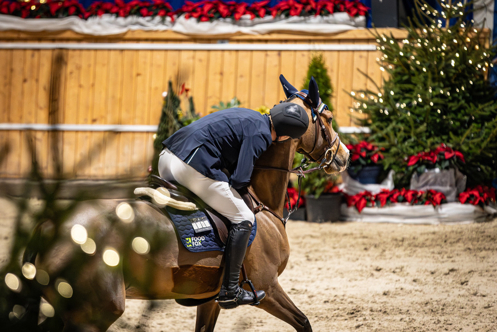 126A1342 | jasminmetznerfotografie