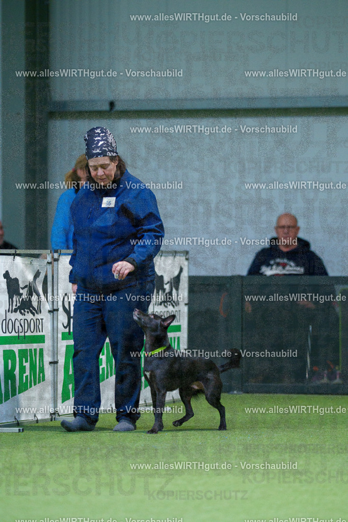 7R505967 | Professionelle Tierfotografie in Mönchengladbach von Daniel Wirth (allesWIRTHgut). Liebevolle & natürliche Bilder von Hunden & Katzen für unvergessliche Erinnerungen.