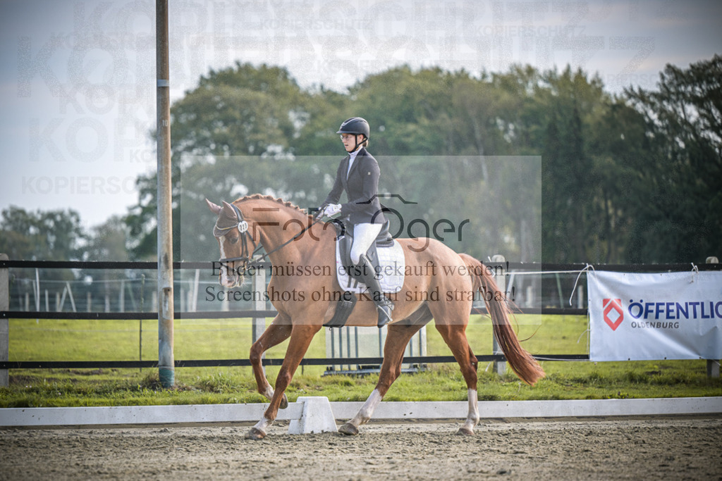 DOS_B067 | Entdecke hochwertige Reitturnierfotos von Foto Oger. Professionell, emotional und authentisch – jetzt Lieblingsmomente im Shop bestellen.Deutschlandweite Turnierfotografie. - Realisiert mit Pictrs.com