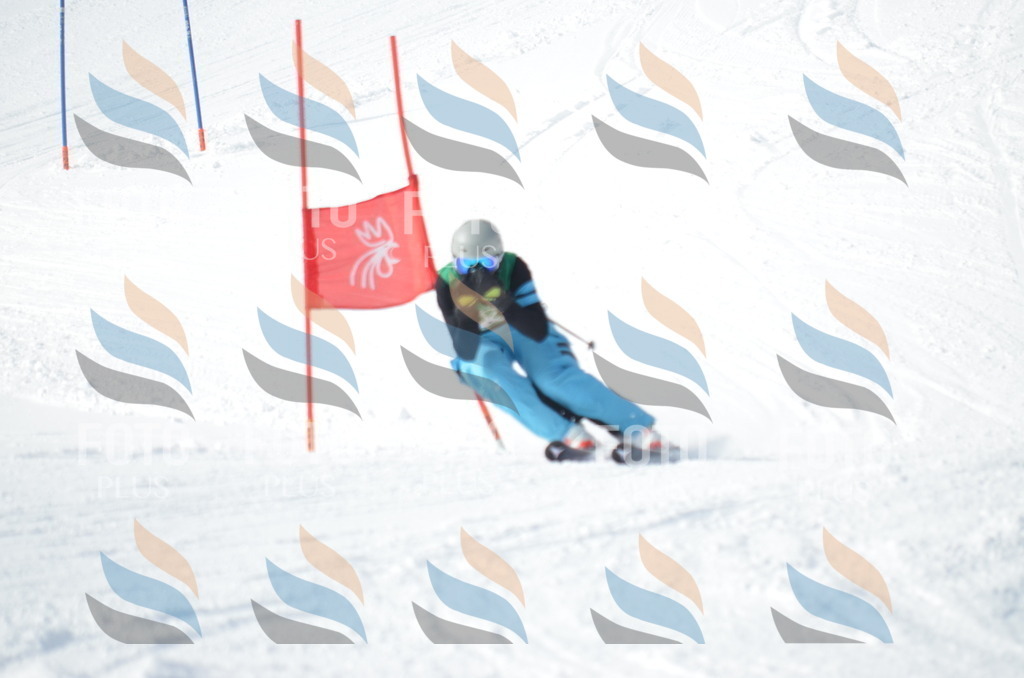 D9226 | holidayphoto