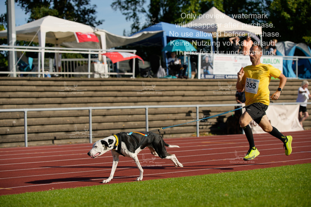 Sonntag_Staffel (316 von 336) | stephaniefillaphotographie - Realisiert mit Pictrs.com
