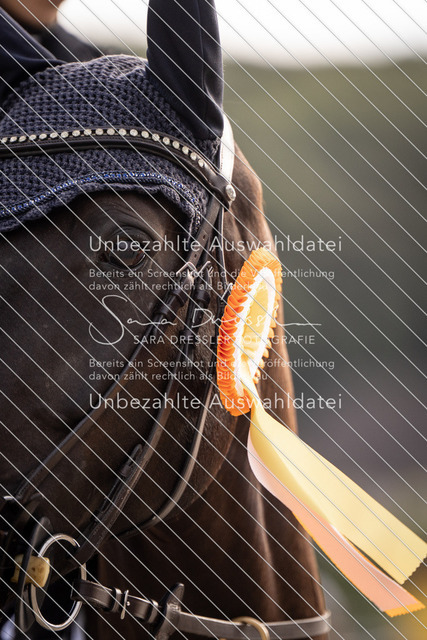 SD_OES26_05660 | saradresslerfotografie - Realisiert mit Pictrs.com