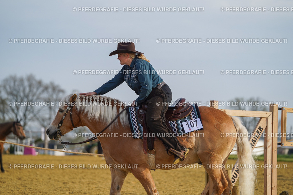 DSC00386 | Pferdegrafie