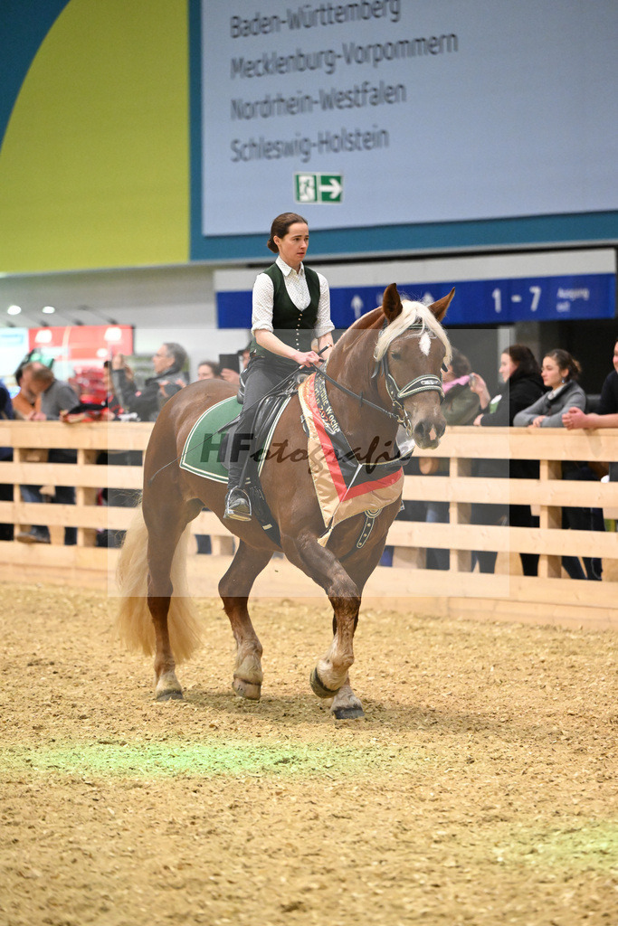 Schauprogramm_Dressurquadrille_1261086 | hf-fotografie - Realisiert mit Pictrs.com