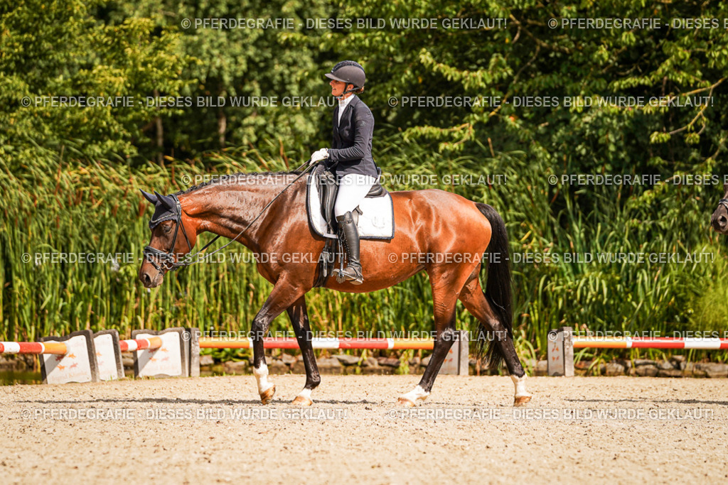 DSC01227 | Pferdegrafie