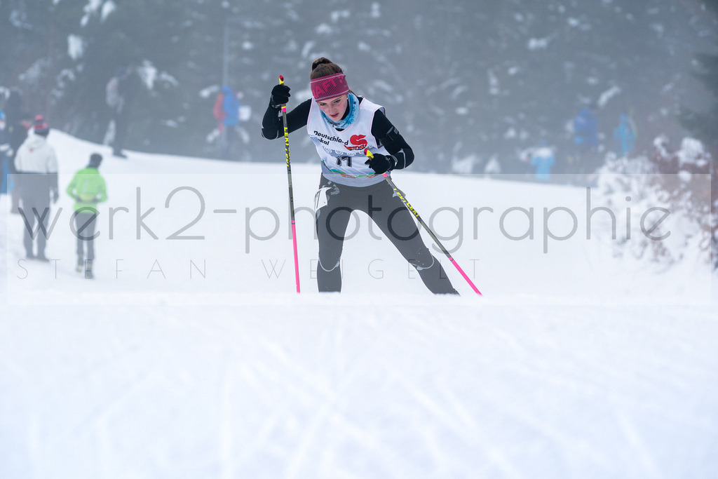 DSC Arber | Bayerischer Wald am 15. und 16. Januar 2022