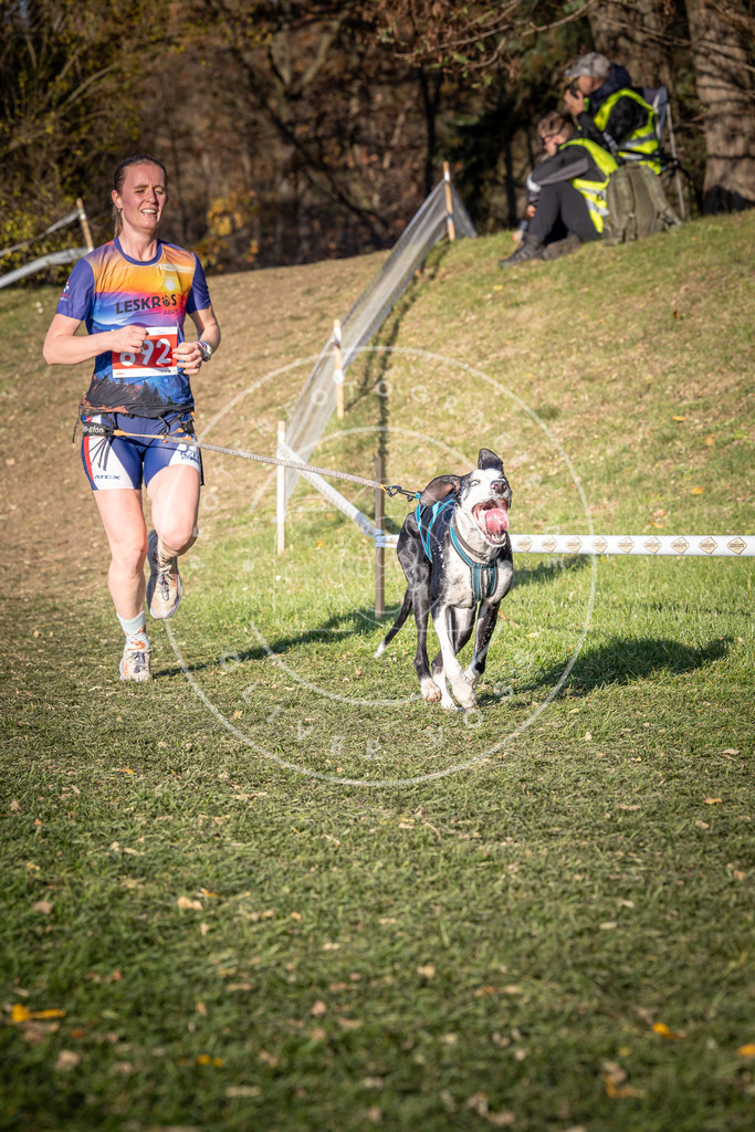 CaniXpix_0L8A9372 | Hundefotografie, Tierfotograf, Pfotenfotografie, Fotoshooting Hund, Hunde Portrait, Hundesport, Hundeportraits, Heideshooting, Hunde, Sportfotograf, Hundefotograf, Turnierhundsport, THS,  - Realisiert mit Pictrs.com