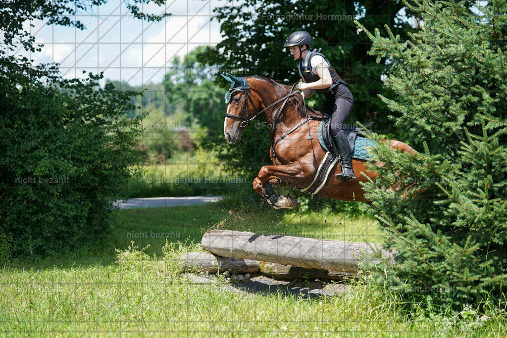 20240622-FAH07069 | Turnierfotografen Bayern, Reitsportbilder aus dem Geländekurs mit Felix Etzel auf dem Gut Waitzacker 2024