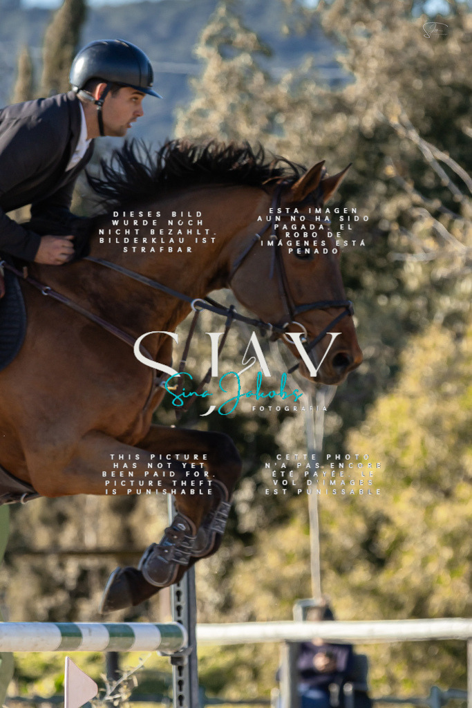 IMG_2081 | s-jay-photography - Realisiert mit Pictrs.com