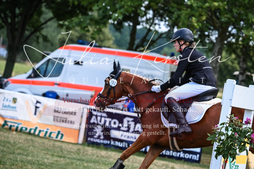 DSC_8089 | Pferde- und Turnierfotografie in Westsachsen. Pferdeportraits, Auftragszeichnungen und intuitive Kunst.