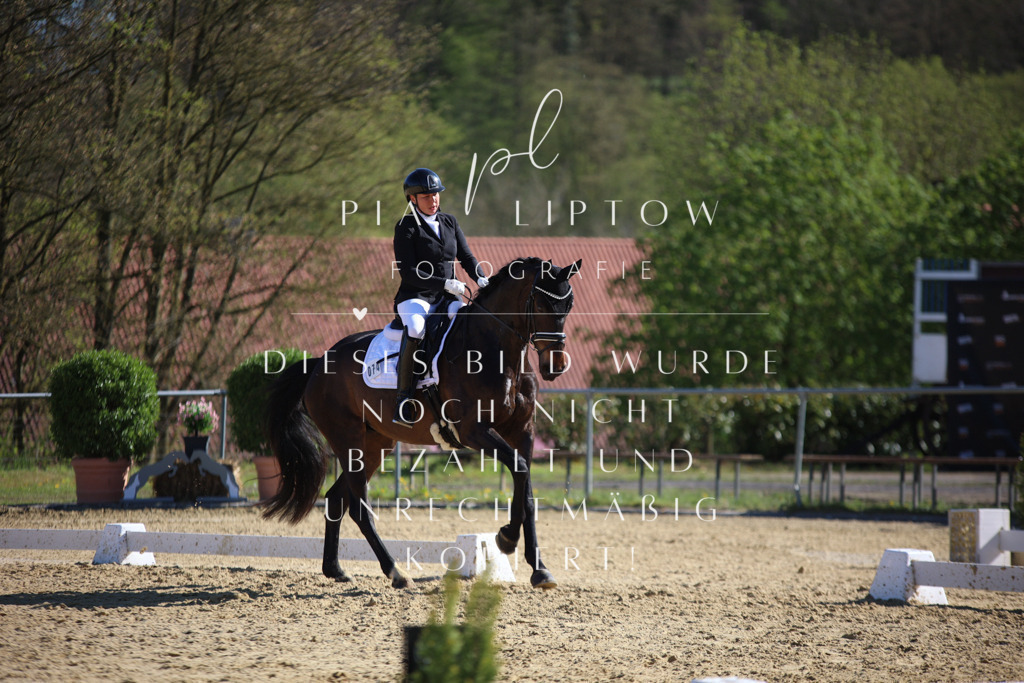 IMGT9022 | pl-fotografie