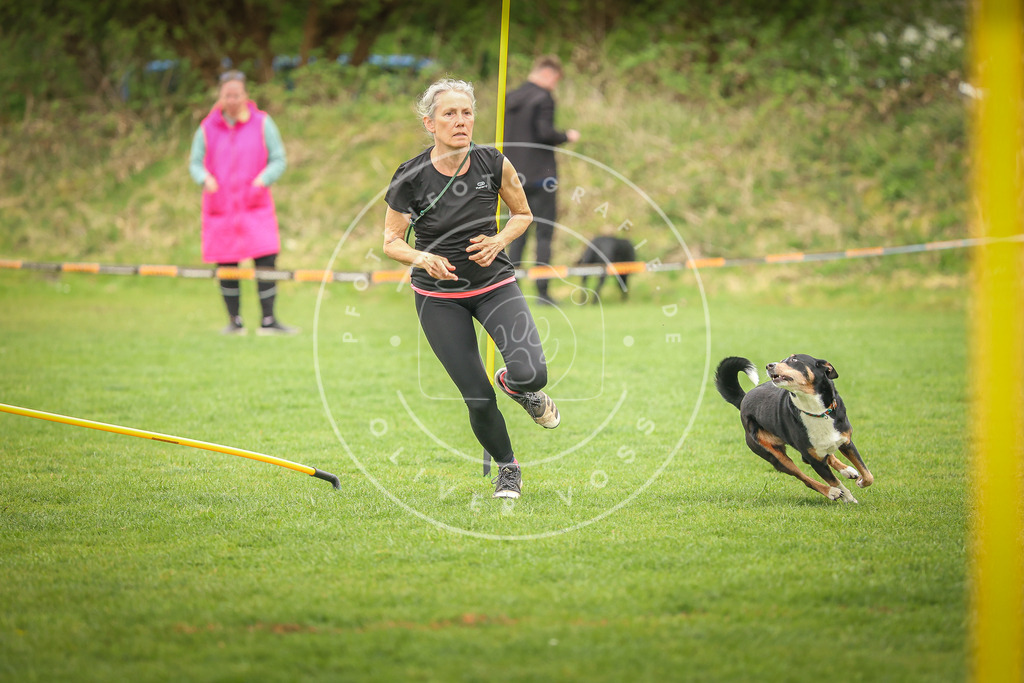 Pfotenfotografie_0L8A0033 | Hundefotografie, Tierfotograf, Pfotenfotografie, Fotoshooting Hund, Hunde Portrait, Hundesport, Hundeportraits, Heideshooting, Hunde, Sportfotograf, Hundefotograf, Turnierhundsport, THS,  - Realisiert mit Pictrs.com