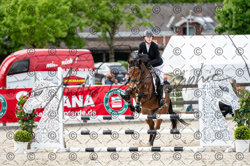 KPT_7113 | andre_photographic