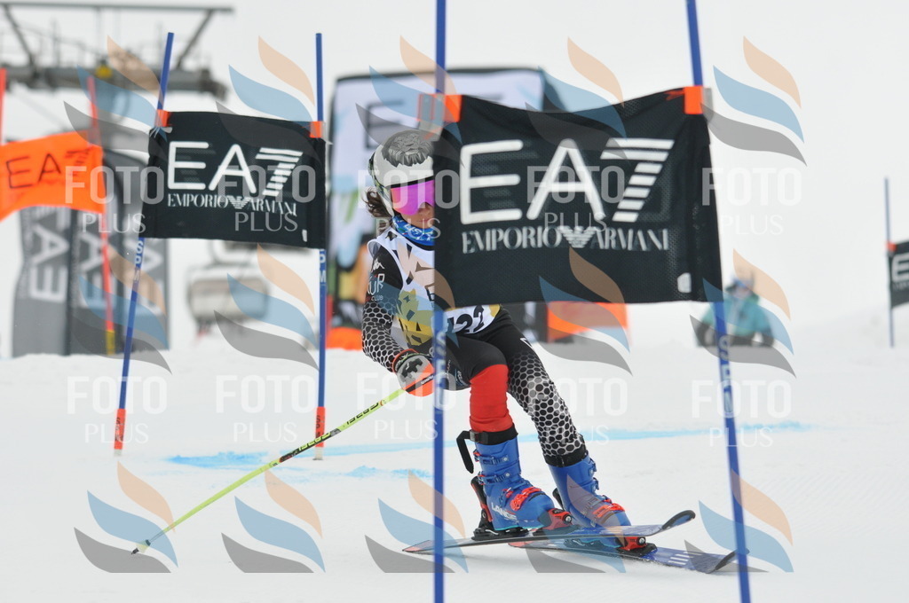 DSC_8230 | holidayphoto