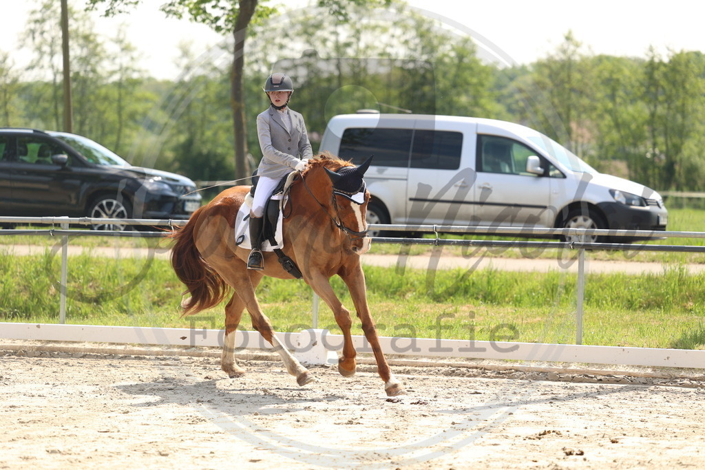 994A7132 | sabrinanicolaifotografie - Realisiert mit Pictrs.com