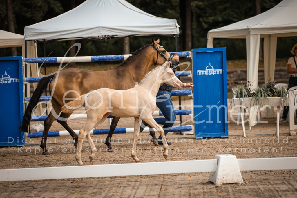 10.DoRP00048 | Leoni Ertmer Photography - Realisiert mit Pictrs.com