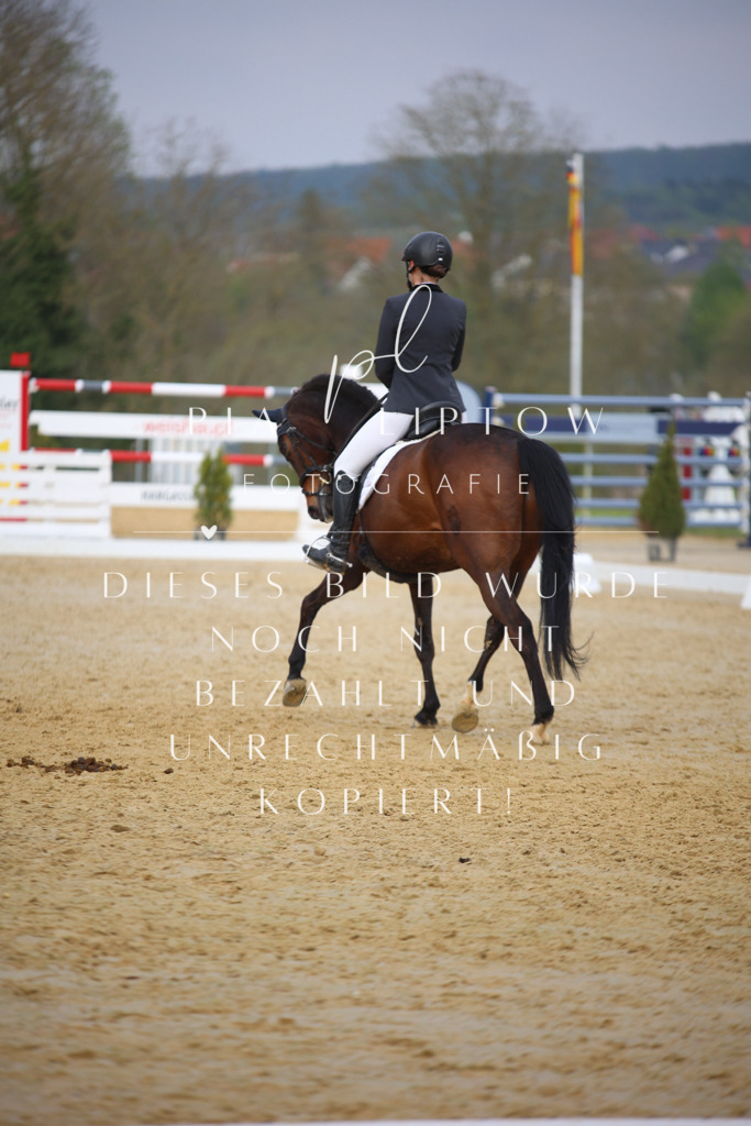 IMGT7688 | pl-fotografie