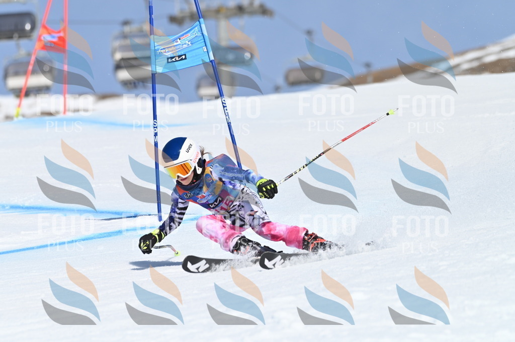 BGV_9722 | holidayphoto