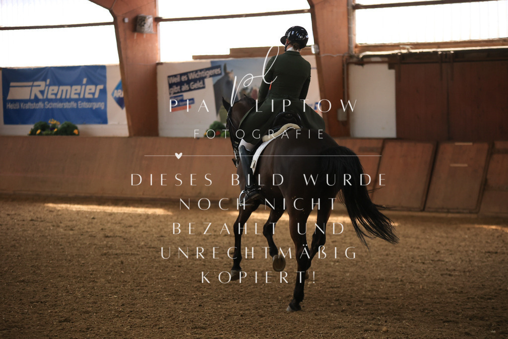 IMGT4106 | pl-fotografie