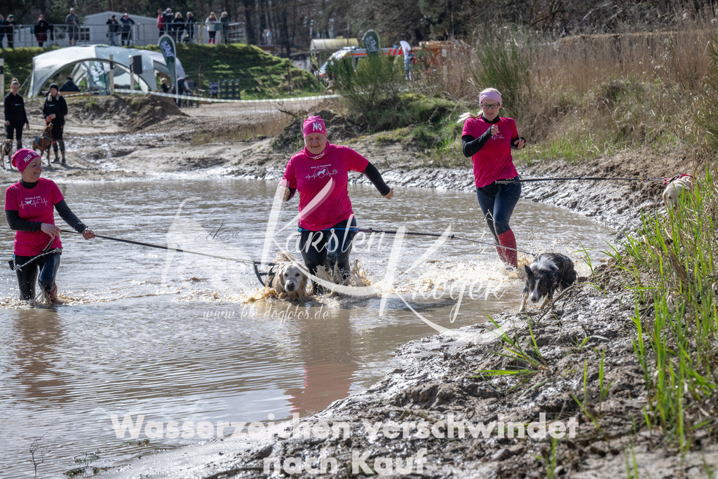 1138_ZZ94608 | kk-dogfotos