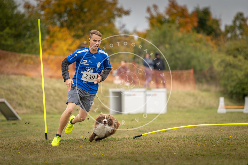 Pfotenfotografie_DV3A5378 | Hundefotografie, Tierfotograf, Pfotenfotografie, Fotoshooting Hund, Hunde Portrait, Hundesport, Hundeportraits, Heideshooting, Hunde, Sportfotograf, Hundefotograf, Turnierhundsport, THS,  - Realisiert mit Pictrs.com