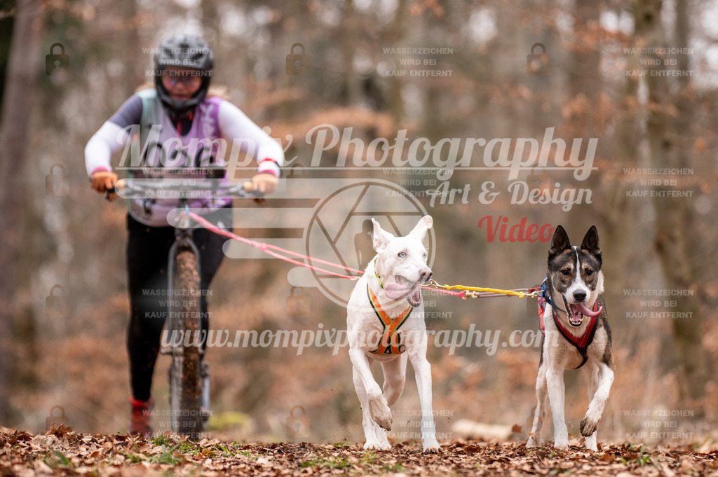 AKM_ST_2023_SAM_DS2-77 | PayLife