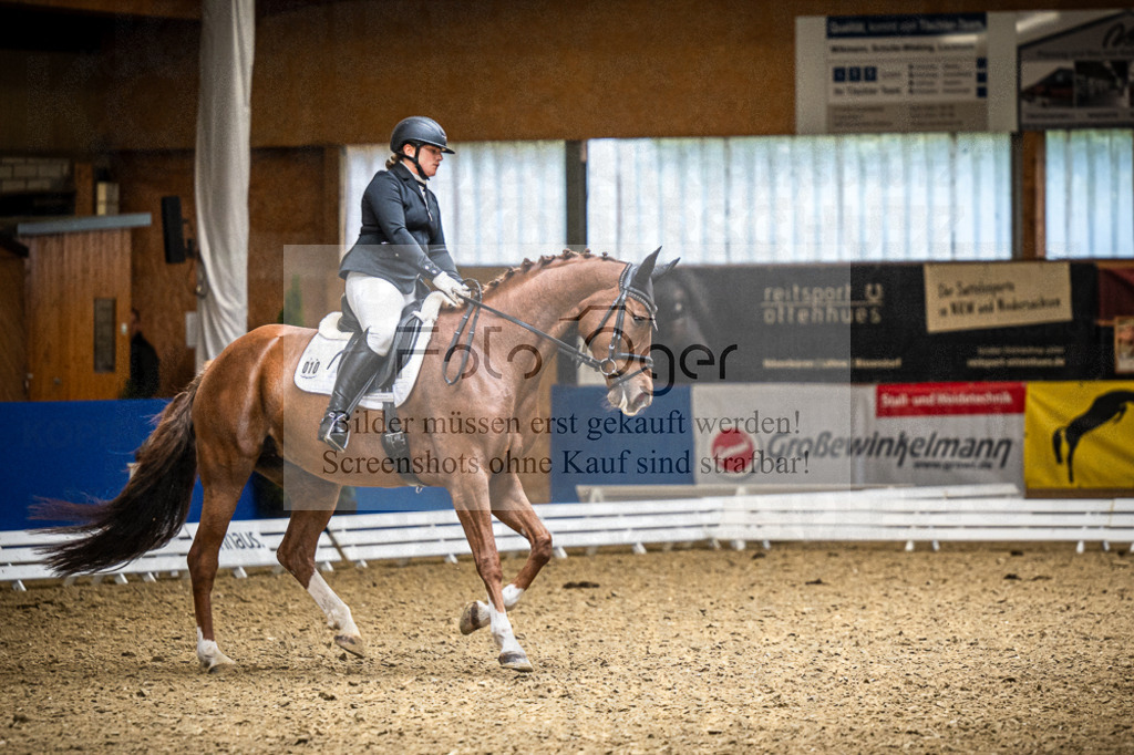 DOS_1928 | Entdecke hochwertige Reitturnierfotos von Foto Oger. Professionell, emotional und authentisch – jetzt Lieblingsmomente im Shop bestellen.Deutschlandweite Turnierfotografie. - Realisiert mit Pictrs.com