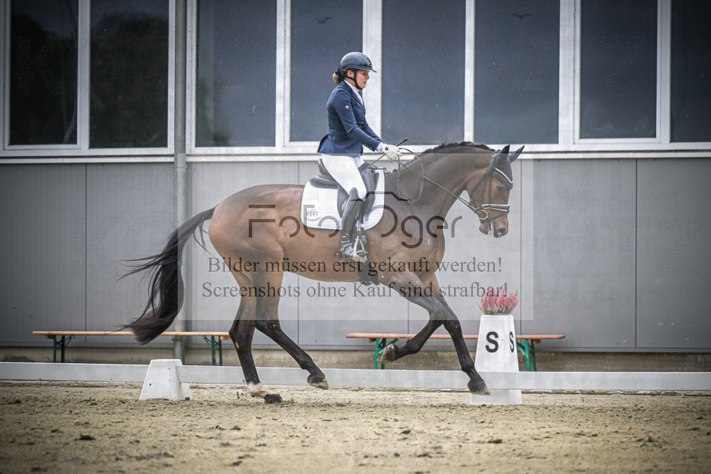 DOS_1100 | Entdecke hochwertige Reitturnierfotos von Foto Oger. Professionell, emotional und authentisch – jetzt Lieblingsmomente im Shop bestellen.Deutschlandweite Turnierfotografie. - Realisiert mit Pictrs.com