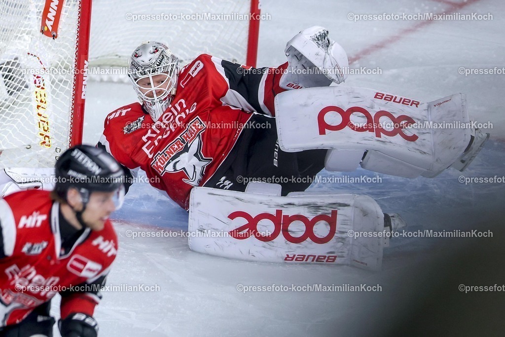 KEC20042601055 | 20.04.2026, Eishockey, DEL Halbfinale Play-Offs, Kölner Haie - Eisbären Berlin, Spiel 6, Lanxess-Arena Köln: Goalie Janne Juvonen (Kölner Haie #30) liegt im Tor auf dem Eis 
