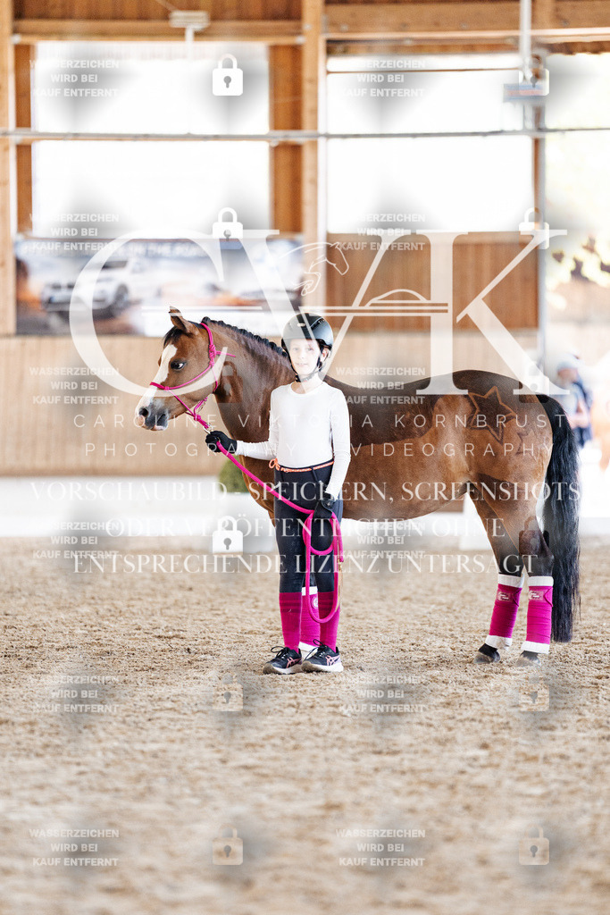 CK907139 | Turnierfotografie Pferdefotografie Trier Rheinland-Pfalz Pferdesport Reitsport Tierfotografie Sportfotografie Pferdevideo Pferdevideografie Equestrianvideography equestrianphotography  - Realisiert mit Pictrs.com