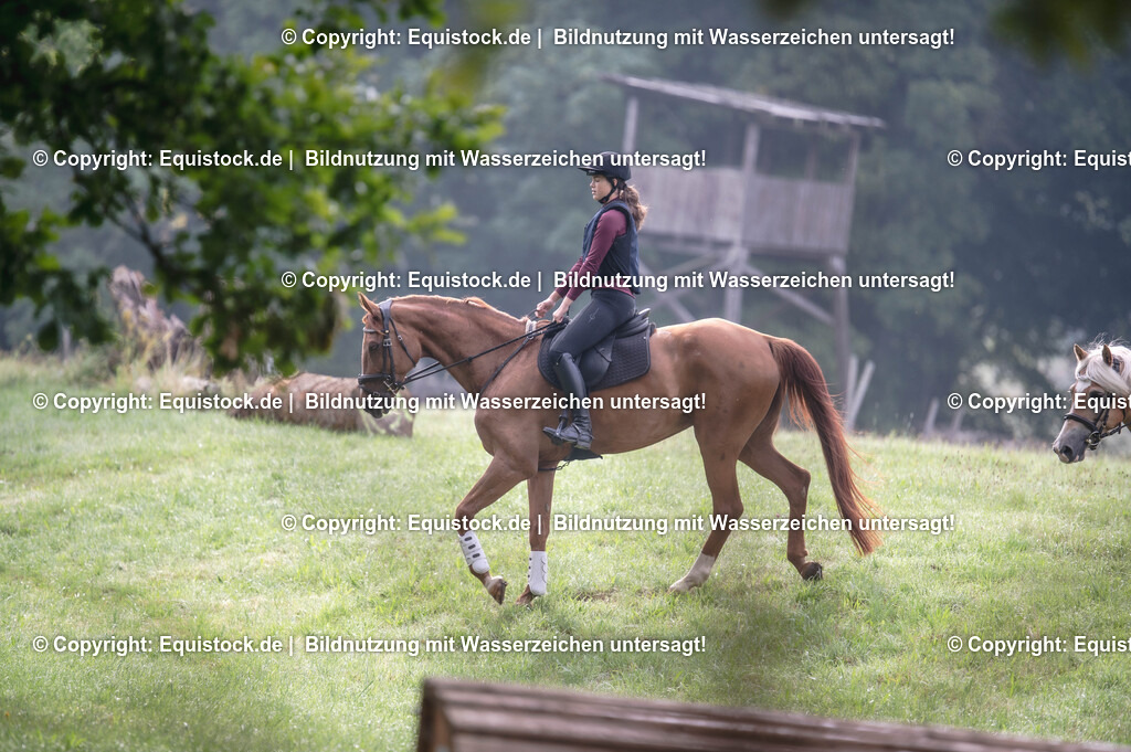 20250726_Vielseitigkeitslehrgang-Marbach_0017 | Foto: Thomas Hartig